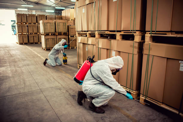 Best Wildlife Control Services  in Brewer, ME