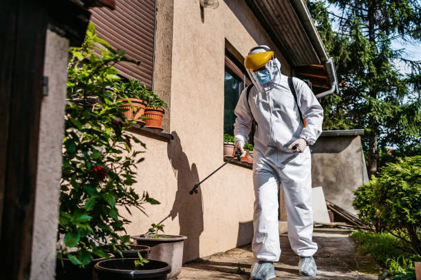 Best Ant Control Services  in Brewer, ME