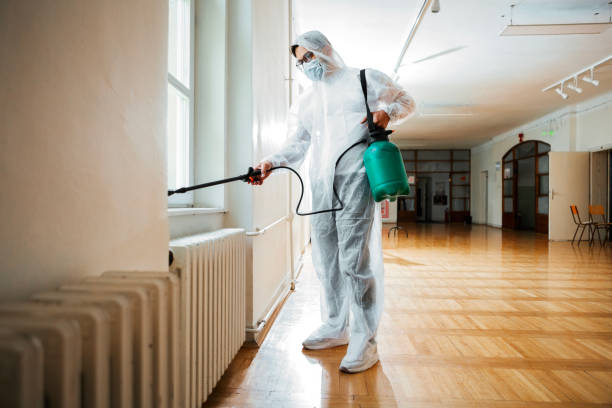 Best Wildlife Control Services  in Brewer, ME