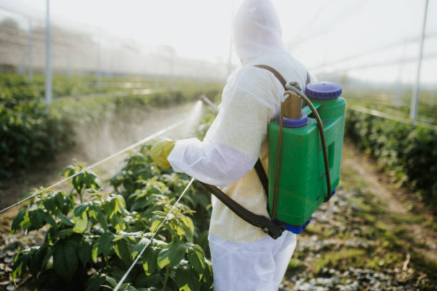 Best Commercial Pest Control Services  in Brewer, ME